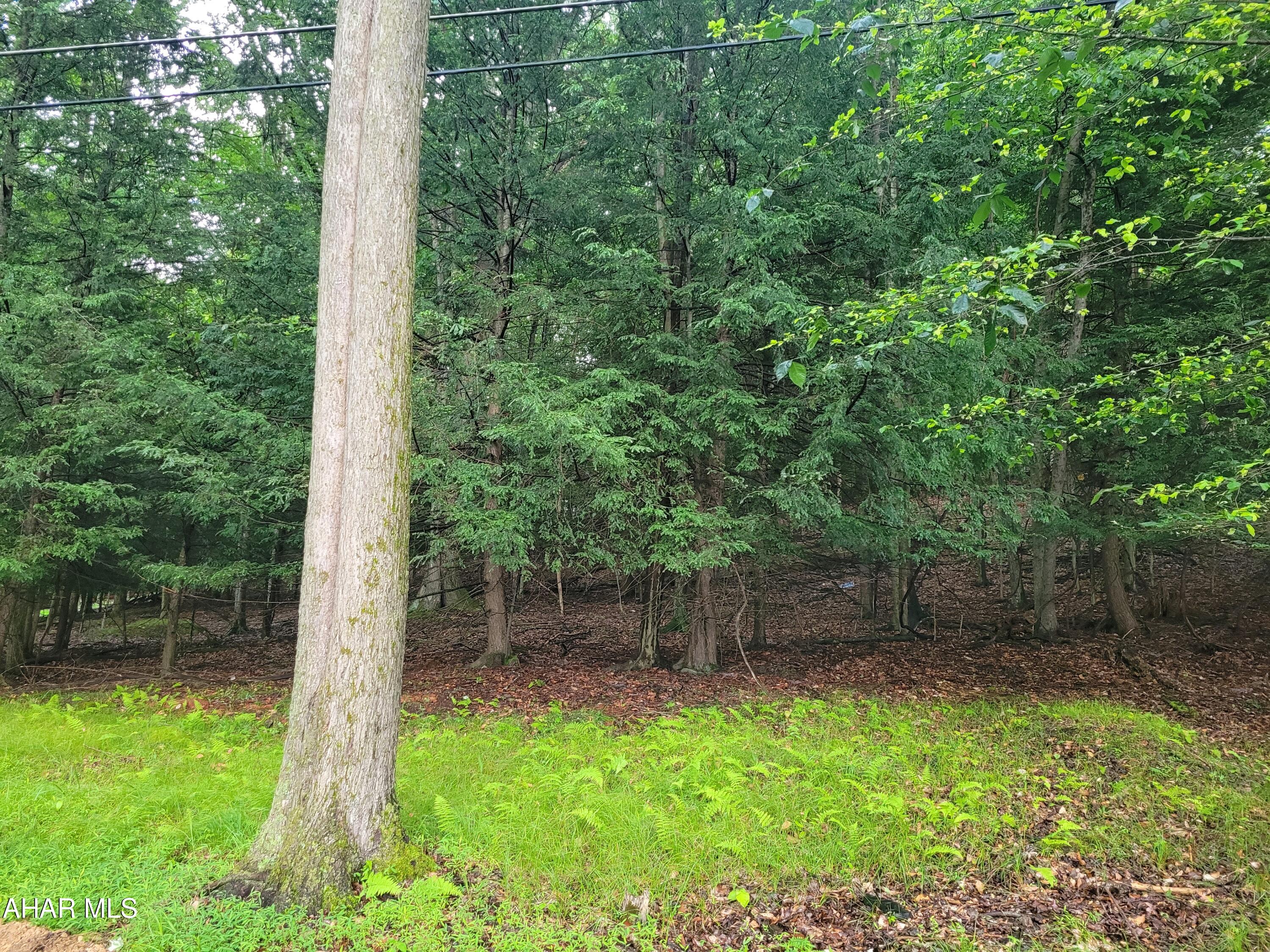 257-265 Red Oak Road Flinton, PA 16640 - Photo 2 of 2 a view of a backyard
