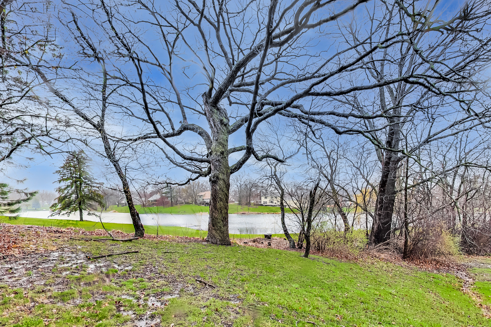 20374 Lea Road Deer Park, IL 60010 - Photo 28 of 31 Gallery Image 28