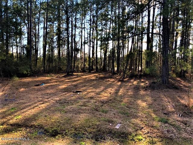 5200 Bucco Reef Road New Bern, NC 28560 - Photo 6 of 20 Lot from Street