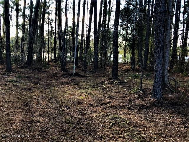 5200 Bucco Reef Road New Bern, NC 28560 - Photo 9 of 20 View from Center of Lot
