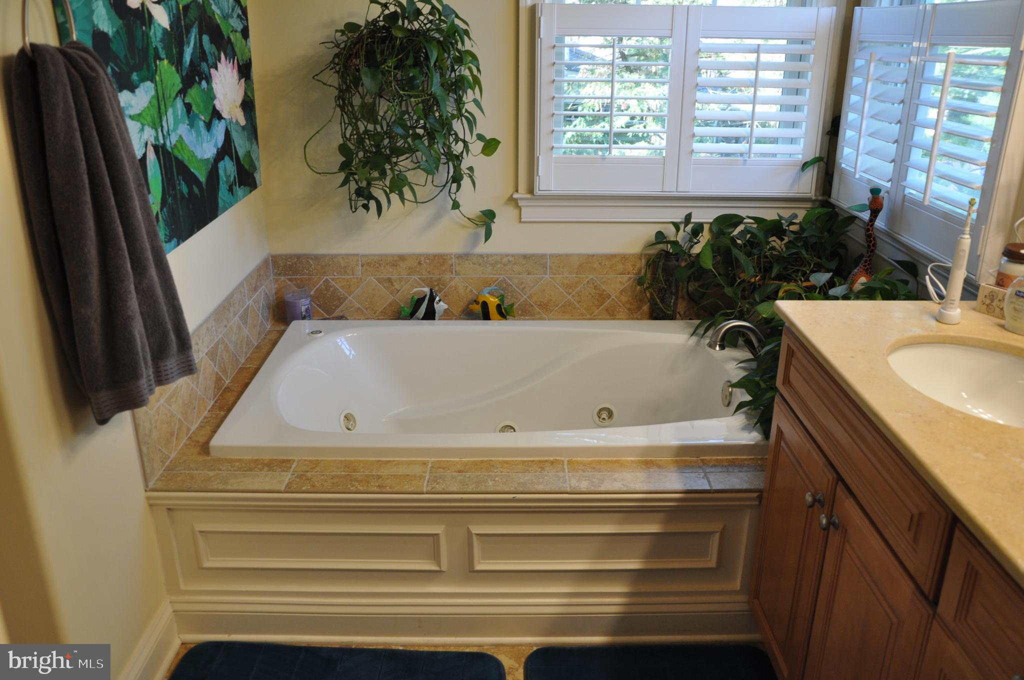 299 Halsey Road Annapolis, MD 21401 - Photo 30 of 61 Whirlpool tub