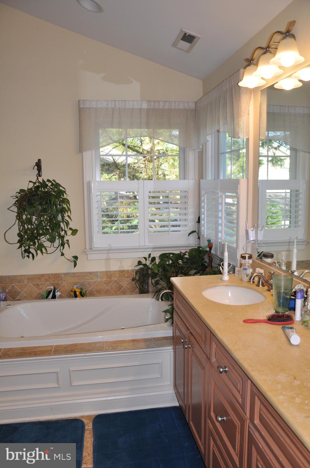 299 Halsey Road Annapolis, MD 21401 - Photo 31 of 61 Bright bath
