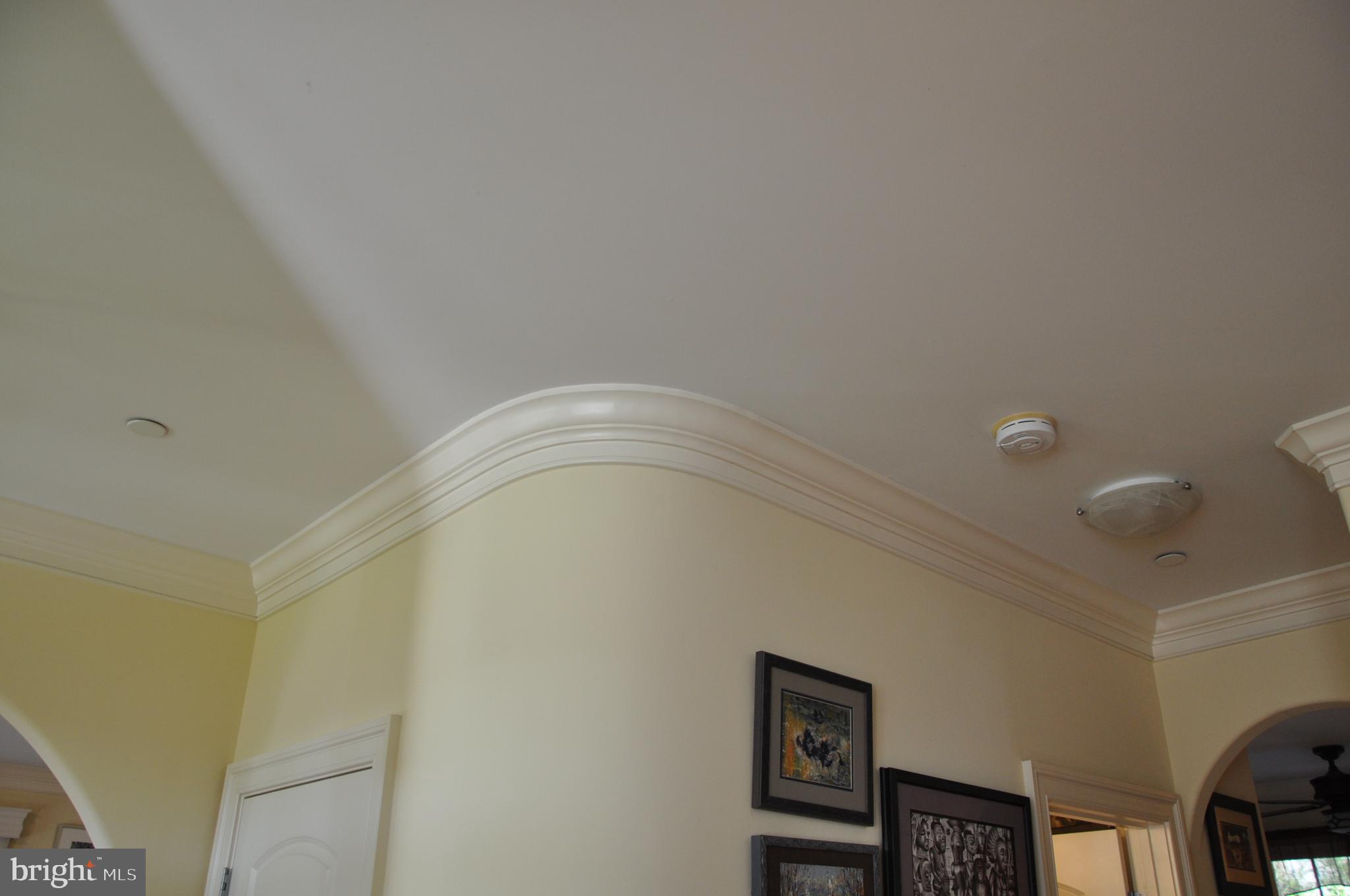 299 Halsey Road Annapolis, MD 21401 - Photo 45 of 61 Gallery Image 45