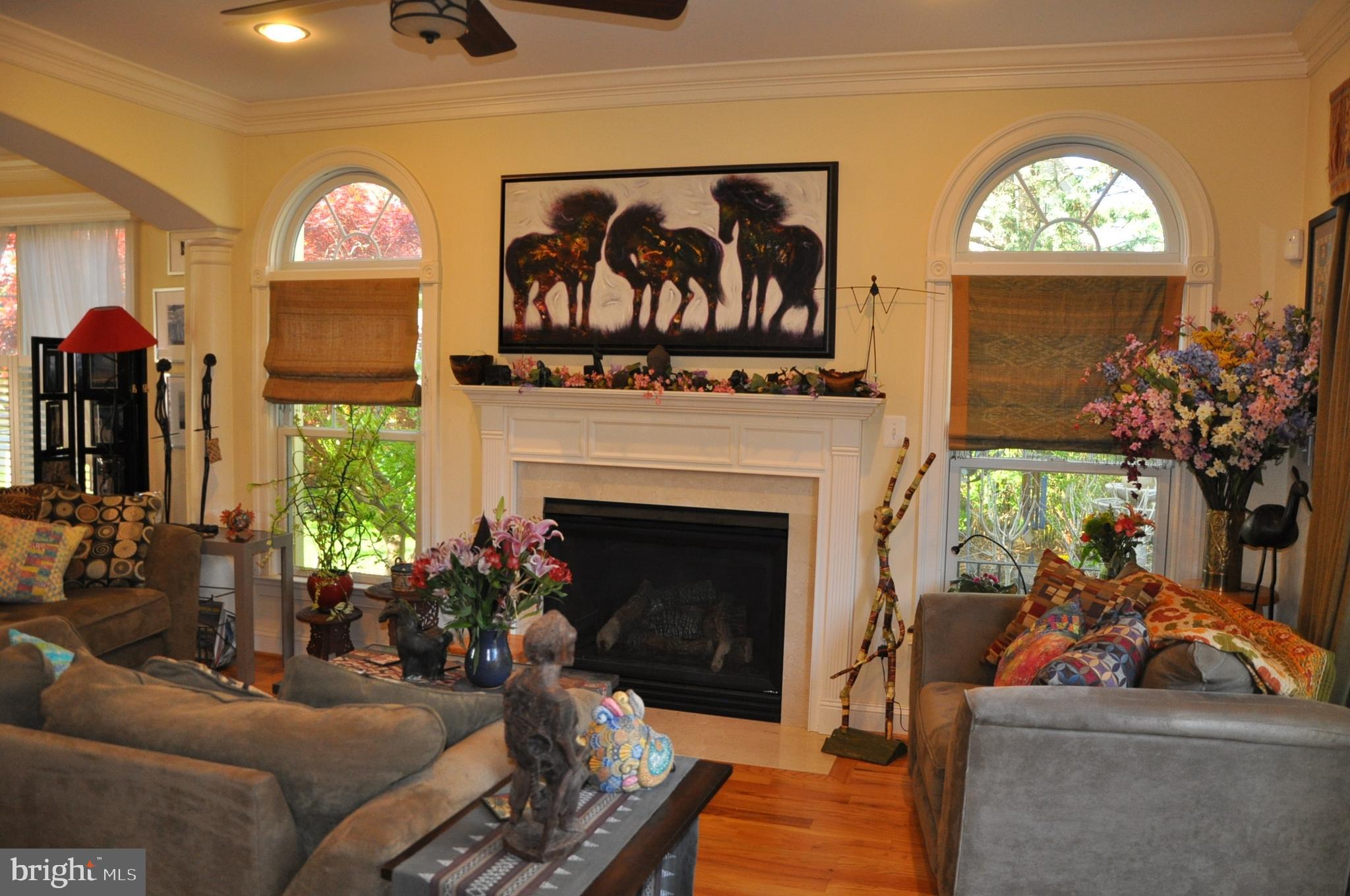 299 Halsey Road Annapolis, MD 21401 - Photo 10 of 61 Arched windows on sides of fireplace