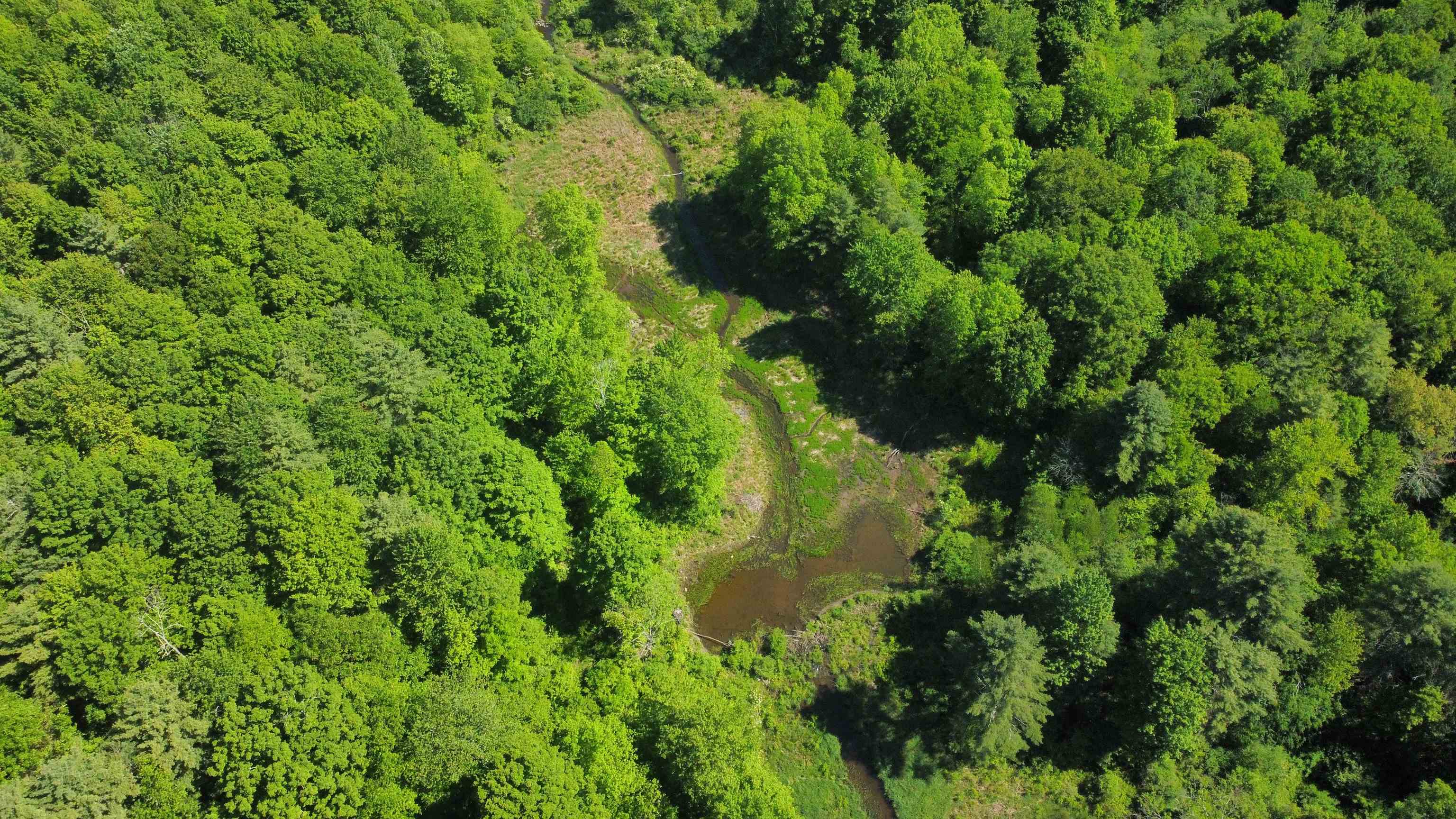 0 Bullfrog Hollow Road Wells, VT 05774 - Photo 19 of 26