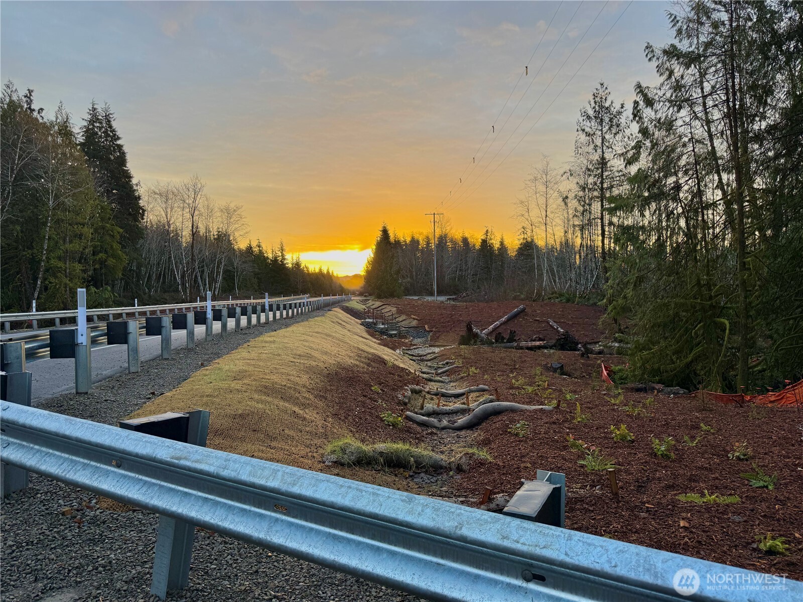 7507 Highway 101 Amanda Park, WA 98526 - Photo 19 of 30