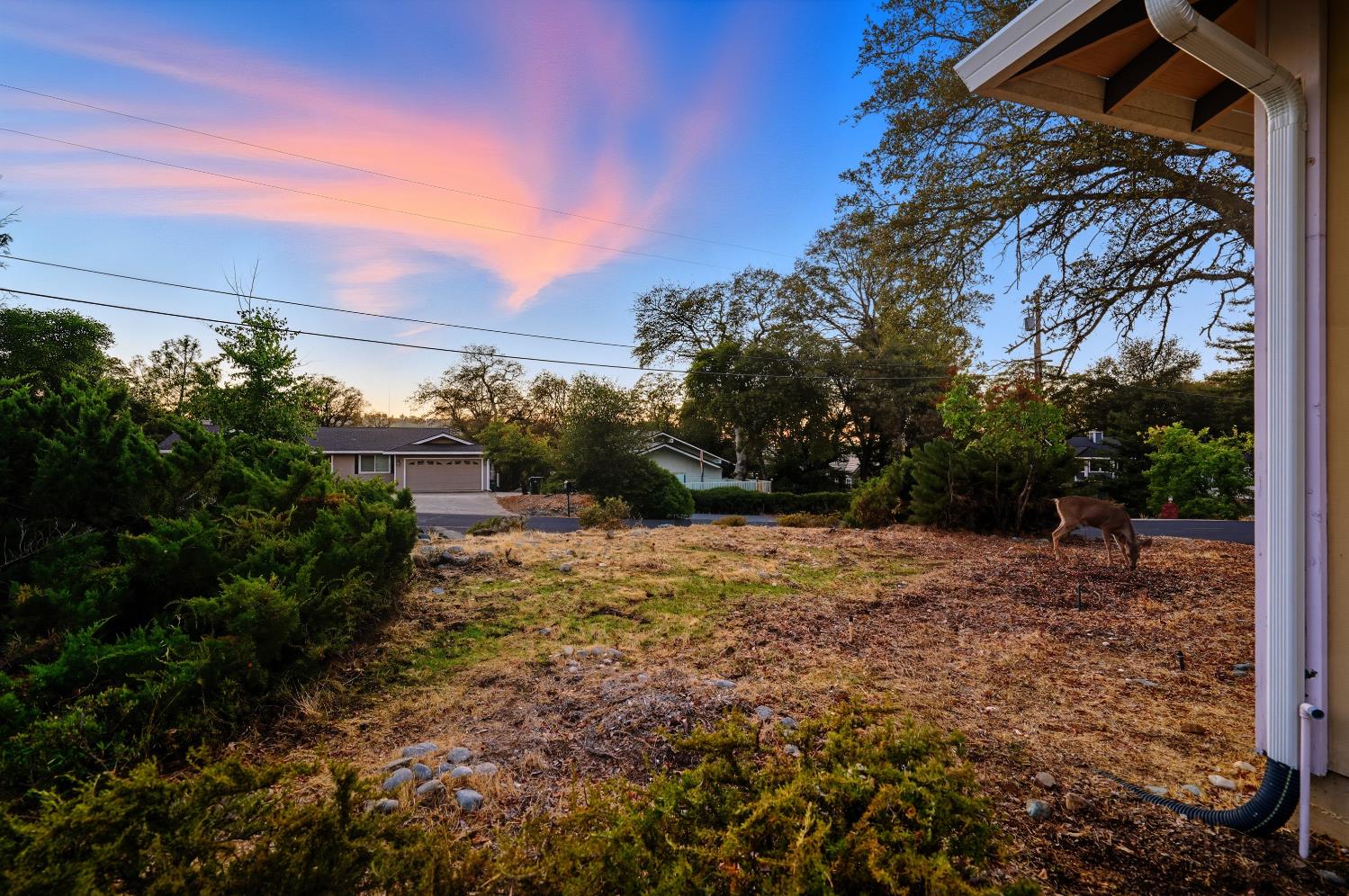11585 Linnet Court Penn Valley, CA 95946 - Photo 40 of 49 a view of a yard