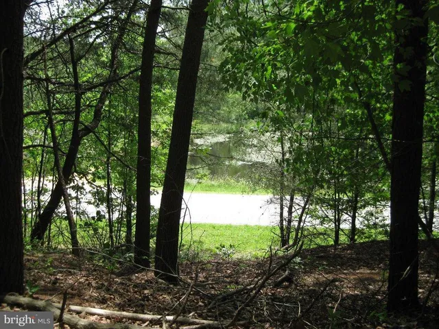 a view of outdoor space and green space