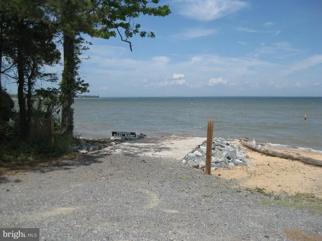 a view of outdoor space and trees