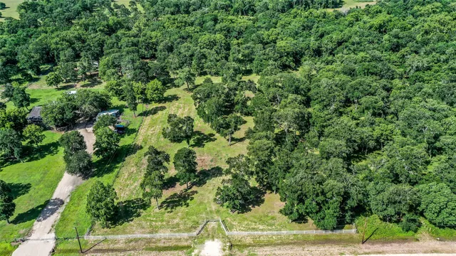 a view of a yard with plants