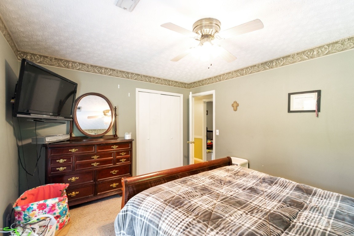 739 Thompson Road Pegram, TN 37143 - Photo 17 of 35 a bedroom with a bed closet and a mirror