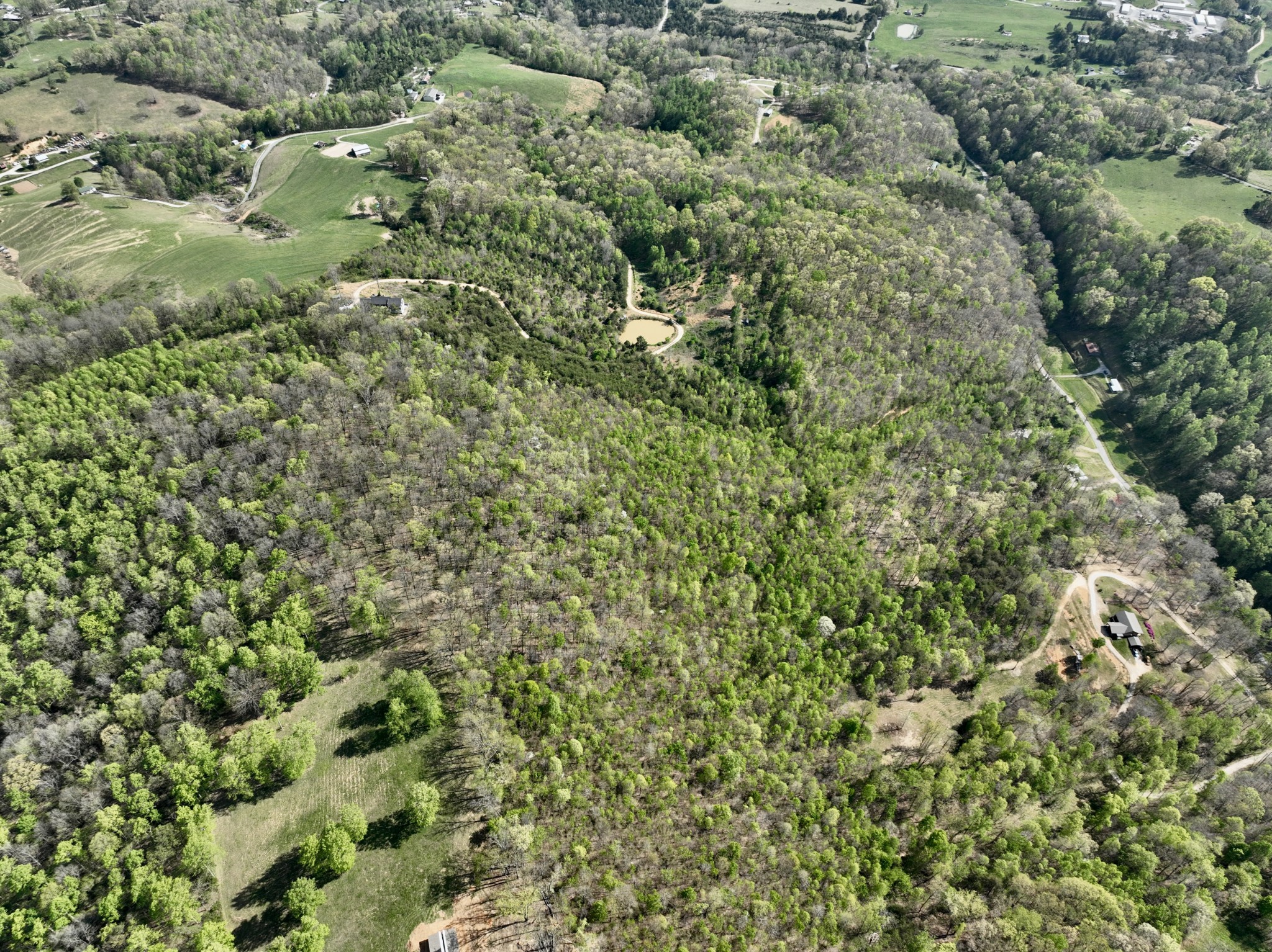 1 Lay Hollow Road Sharps Chapel, TN 37866 - Photo 13 of 25 view of a forest with a houses