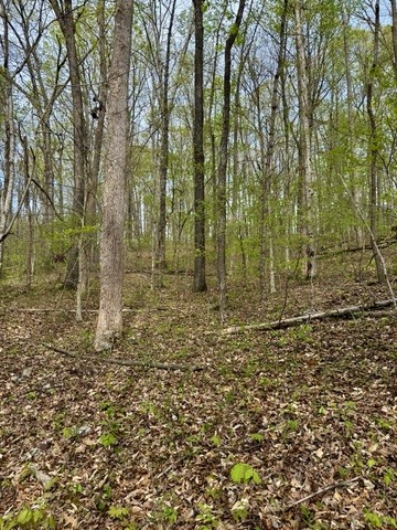 1 Lay Hollow Road Sharps Chapel, TN 37866 - Photo 19 of 25 a large yard with lots of green space