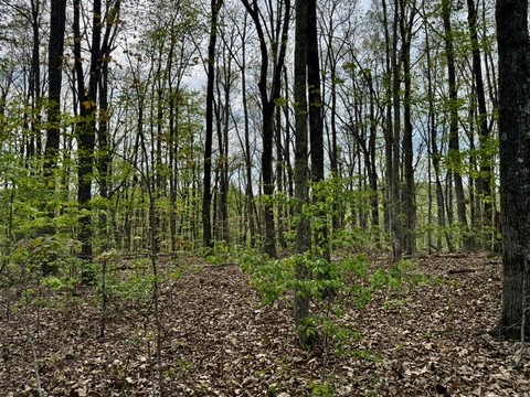 1 Lay Hollow Road Sharps Chapel, TN 37866 - Photo 22 of 25 a view of outdoor space and a yard