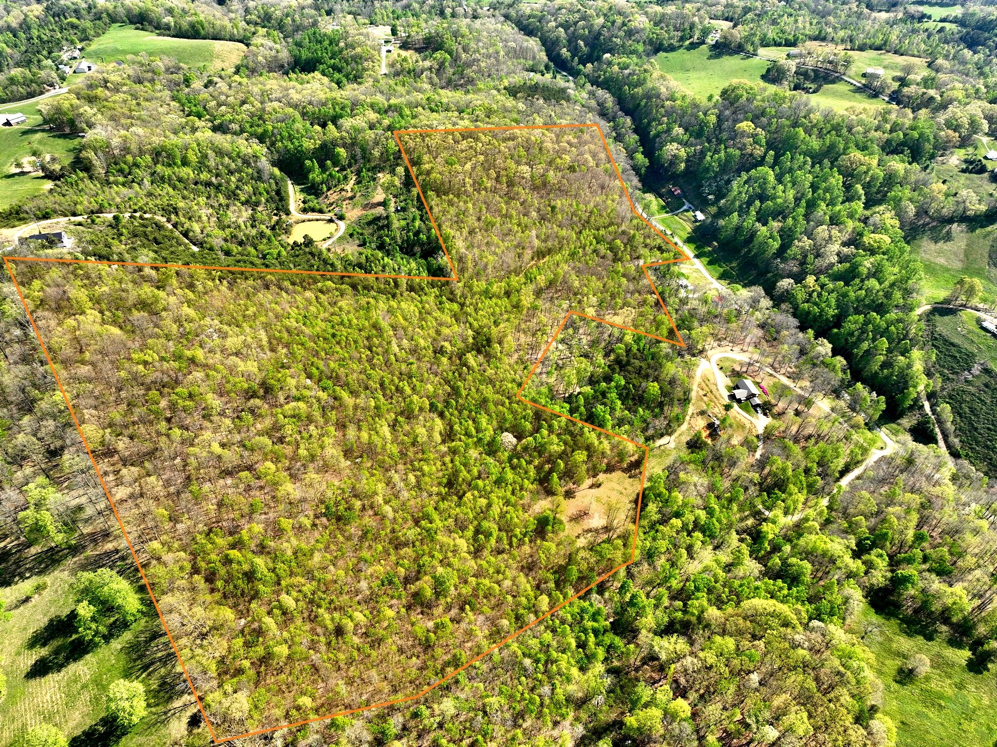 1 Lay Hollow Road Sharps Chapel, TN 37866 - Photo 4 of 25