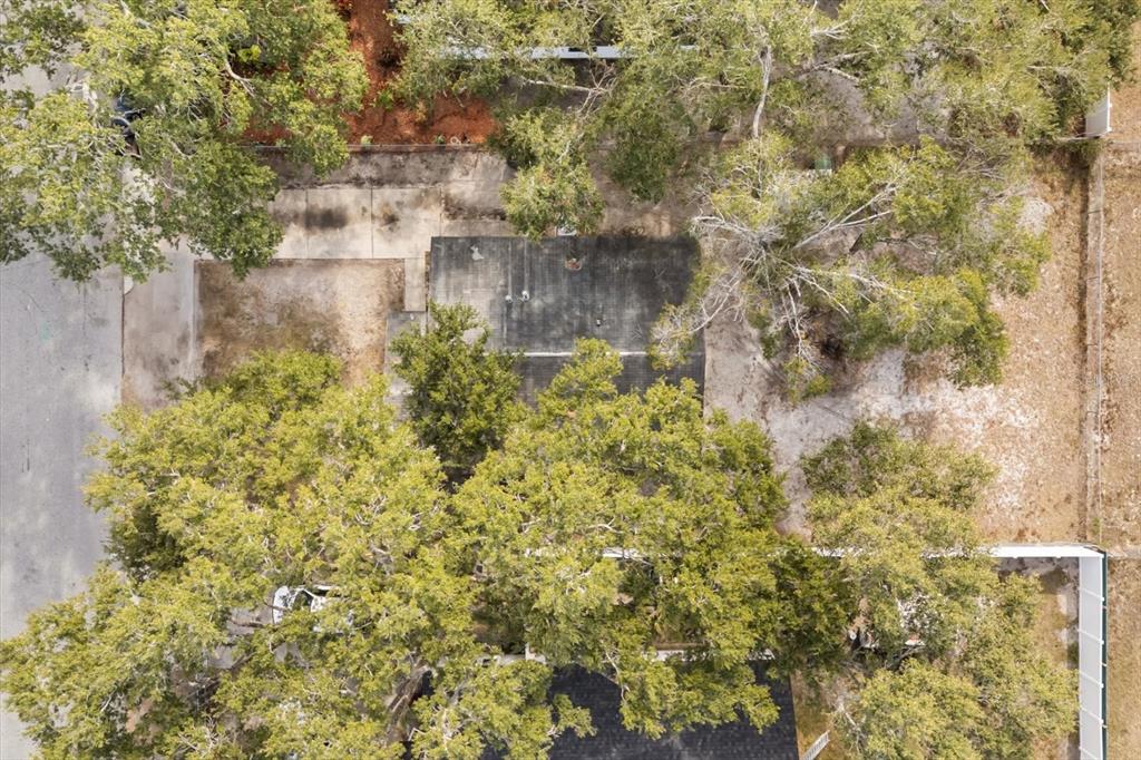 809 Talladega Street Leesburg, FL 34748 - Photo 11 of 13 a view of a lake with large trees