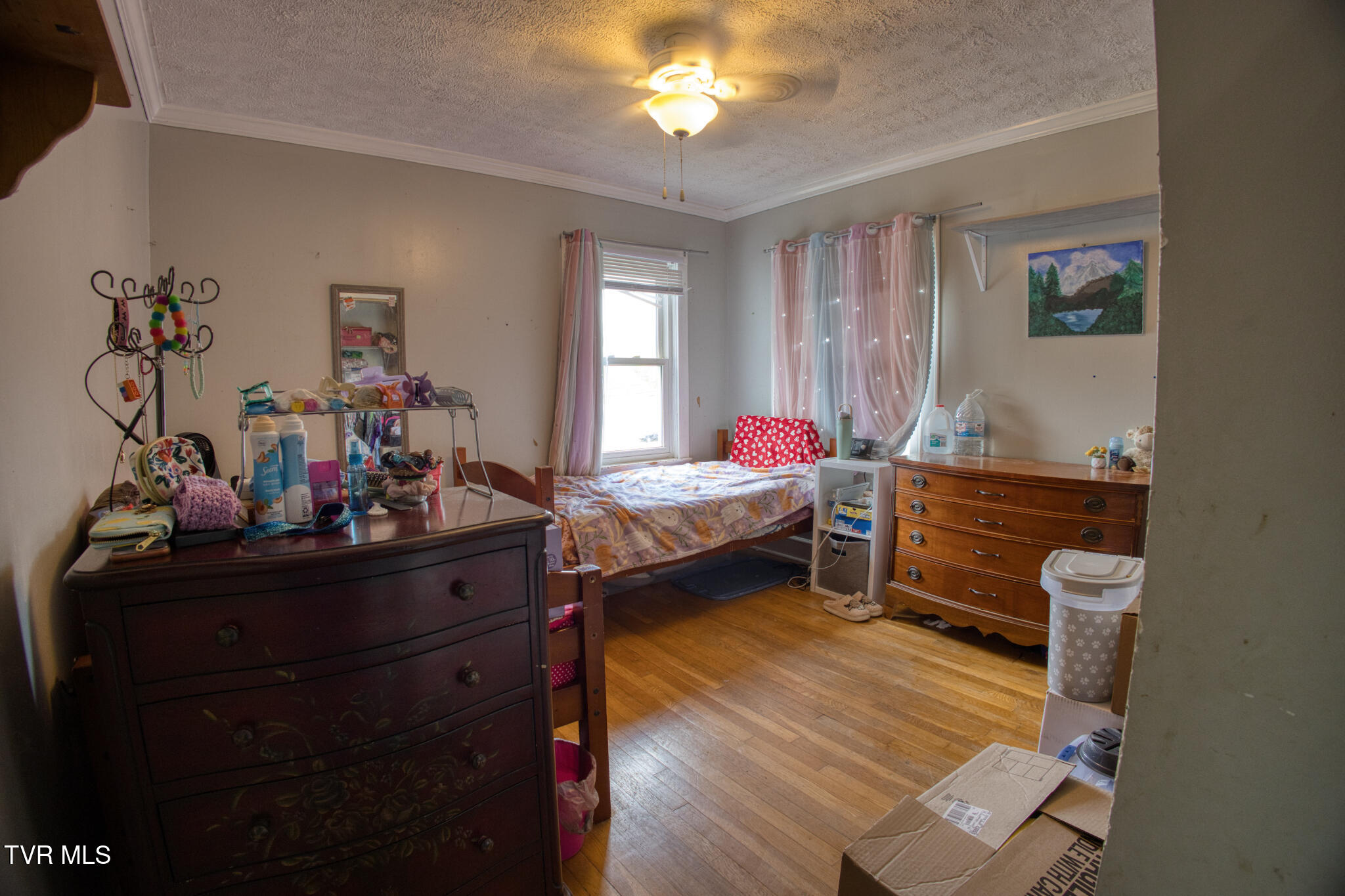 1721 Siam Road Elizabethton, TN 37643 - Photo 20 of 41 R6II7176_HDR