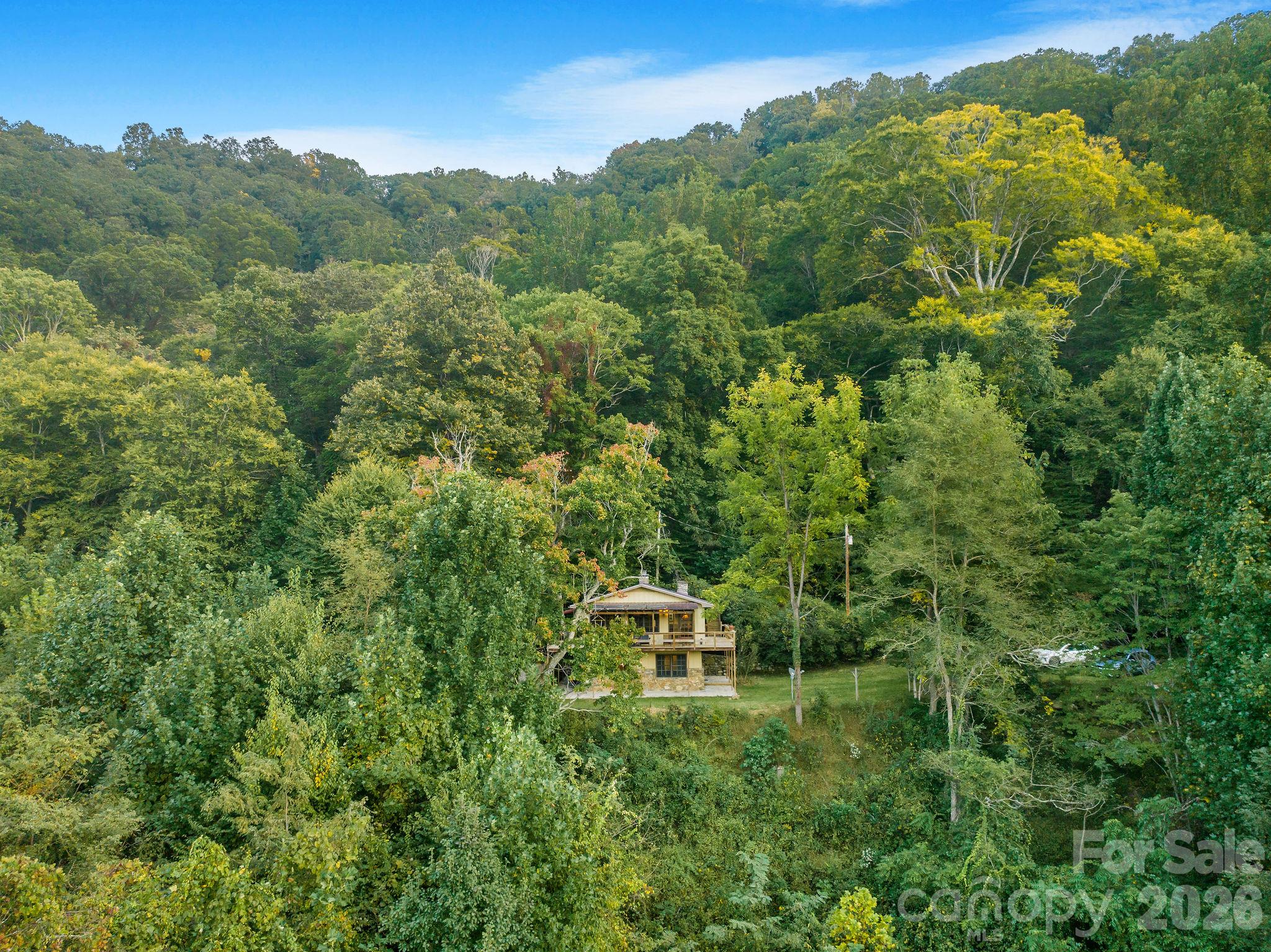 74 Lanzi Ledge Road Leicester, NC 28748 - Photo 4 of 38 Gallery Image 4
