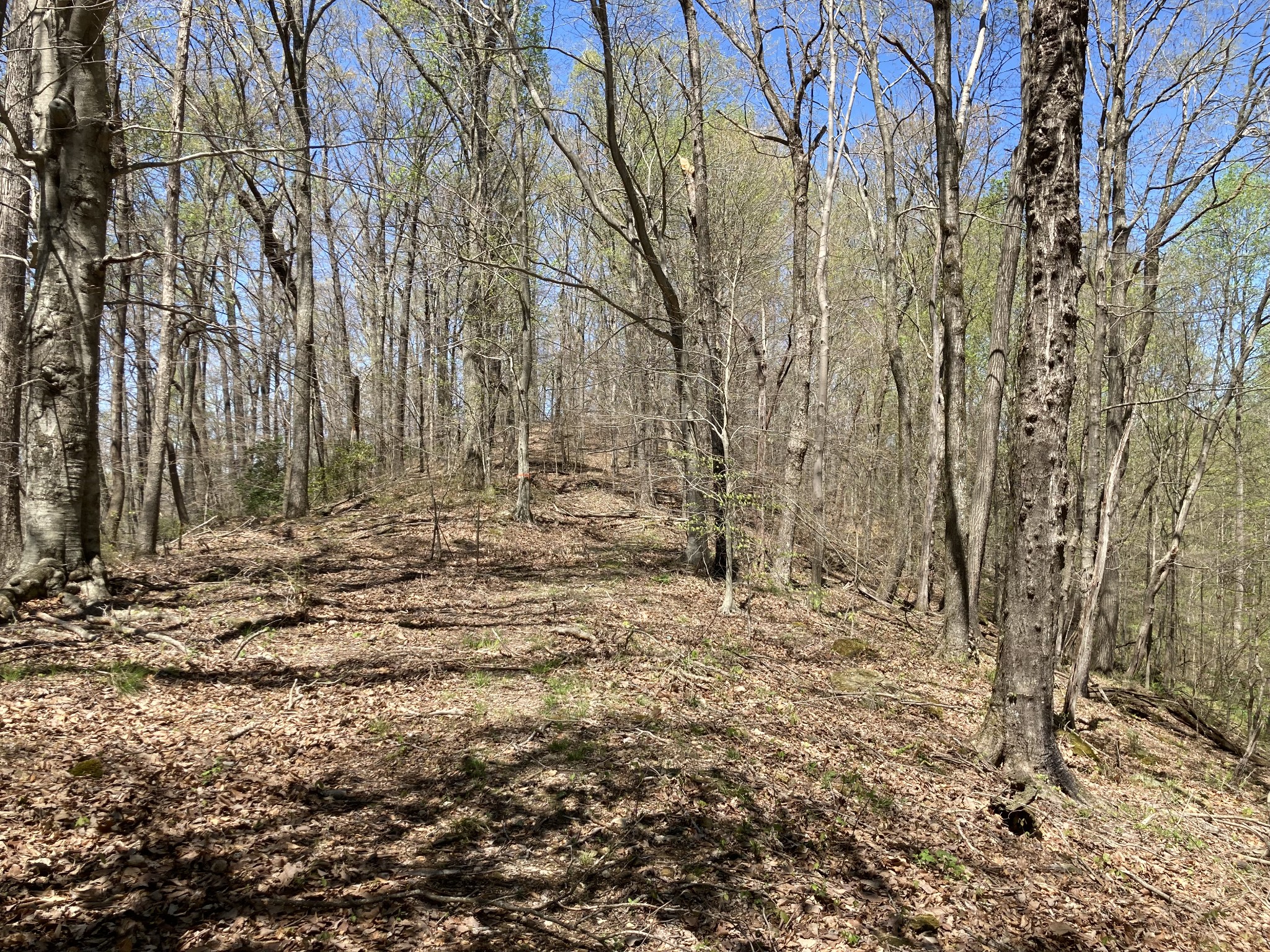 0 Tate Road Woodbury, TN 37190 - Photo 17 of 31 Gallery Image 17