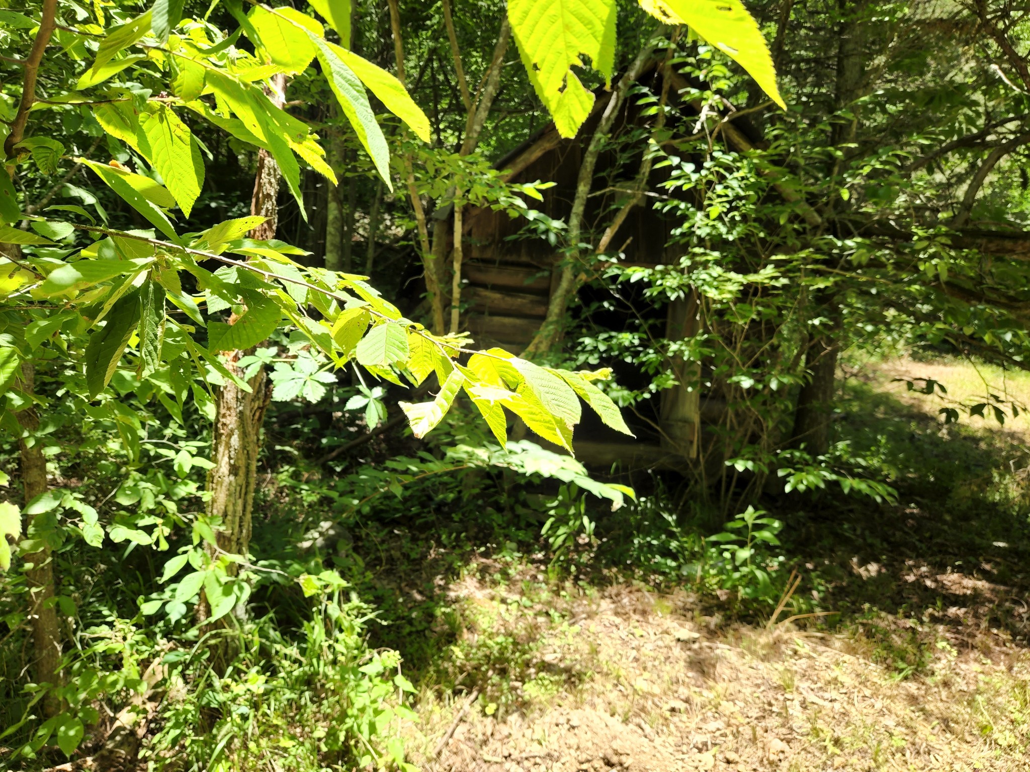 0 Tate Road Woodbury, TN 37190 - Photo 26 of 31 Gallery Image 26