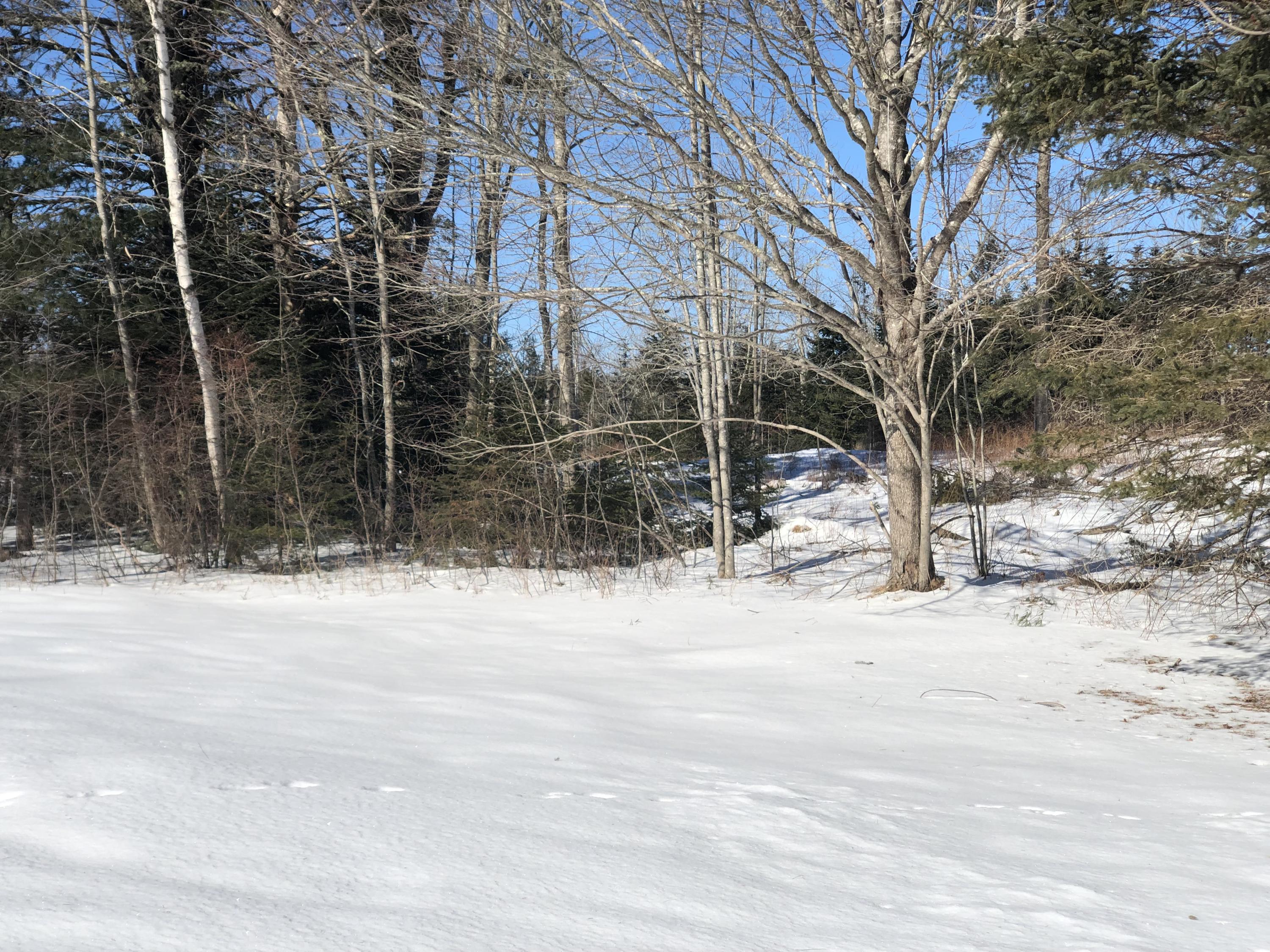56 Old County Road Brooklin, ME 04616 - Photo 32 of 33 IMG_4137