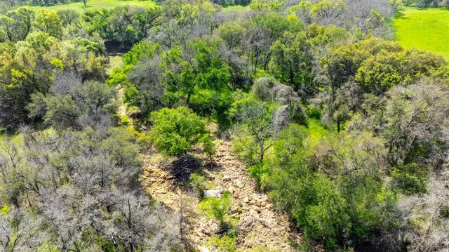 a view of a green field with lots of bushes