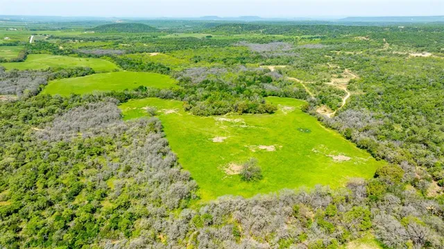 a view of yard with large trees