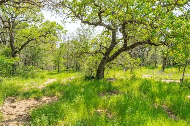 a view of a backyard with sitting area and furniture