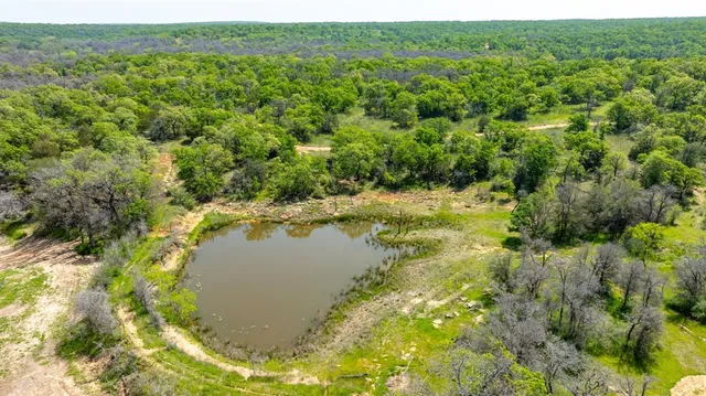 a view of a field with an ocean