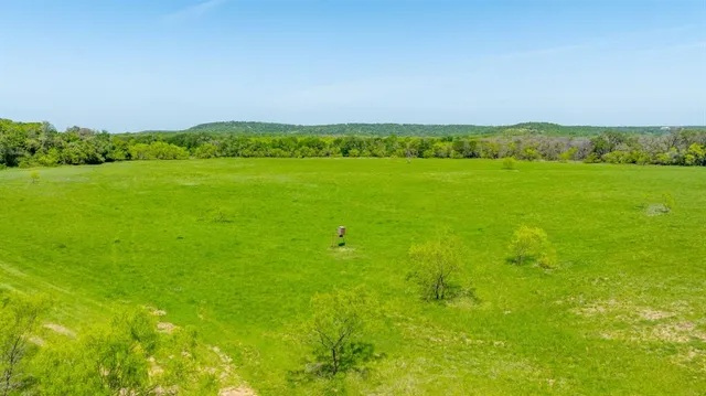 a view of a green field with clear sky