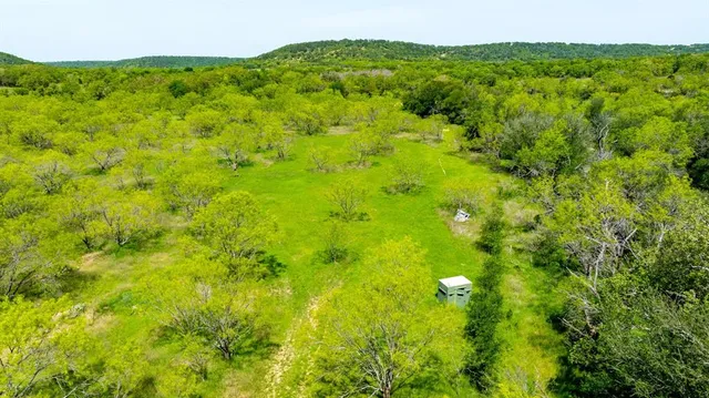a view of a large yard with lots of green space