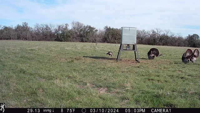 a view of a outdoor space