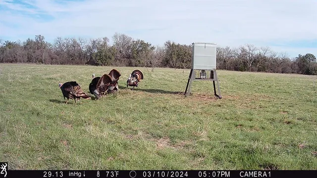 a view of a outdoor space
