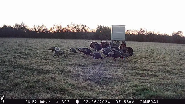 a view of a outdoor space