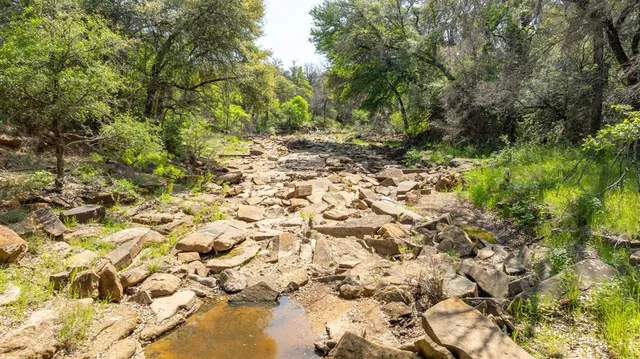 a view of a yard with a tree