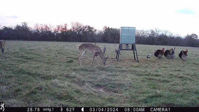 $3,155,000 | 13215 County Road 136, Gordon, TX 76453