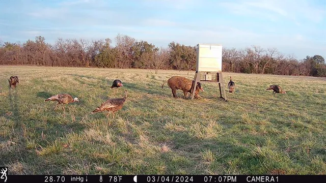 a view of a outdoor space