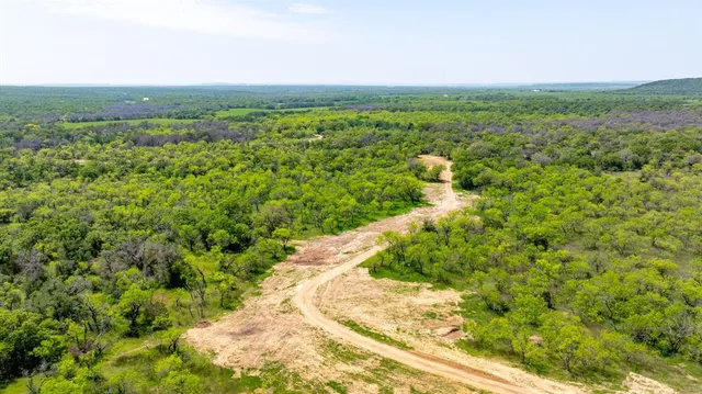 a view of a city with lush green forest