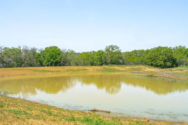 a view of a trees in a yard