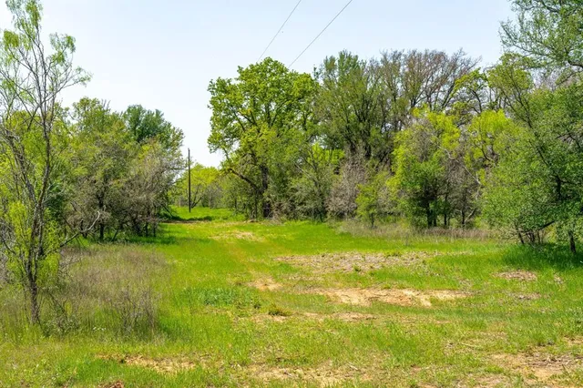 a view of a lush green forest with lots of trees