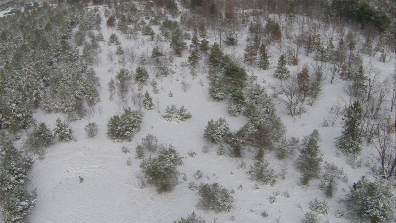 0 11 11 Mile Road Reed City, MI 49677 - Photo 9 of 19
