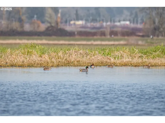 a view of an ocean and beach