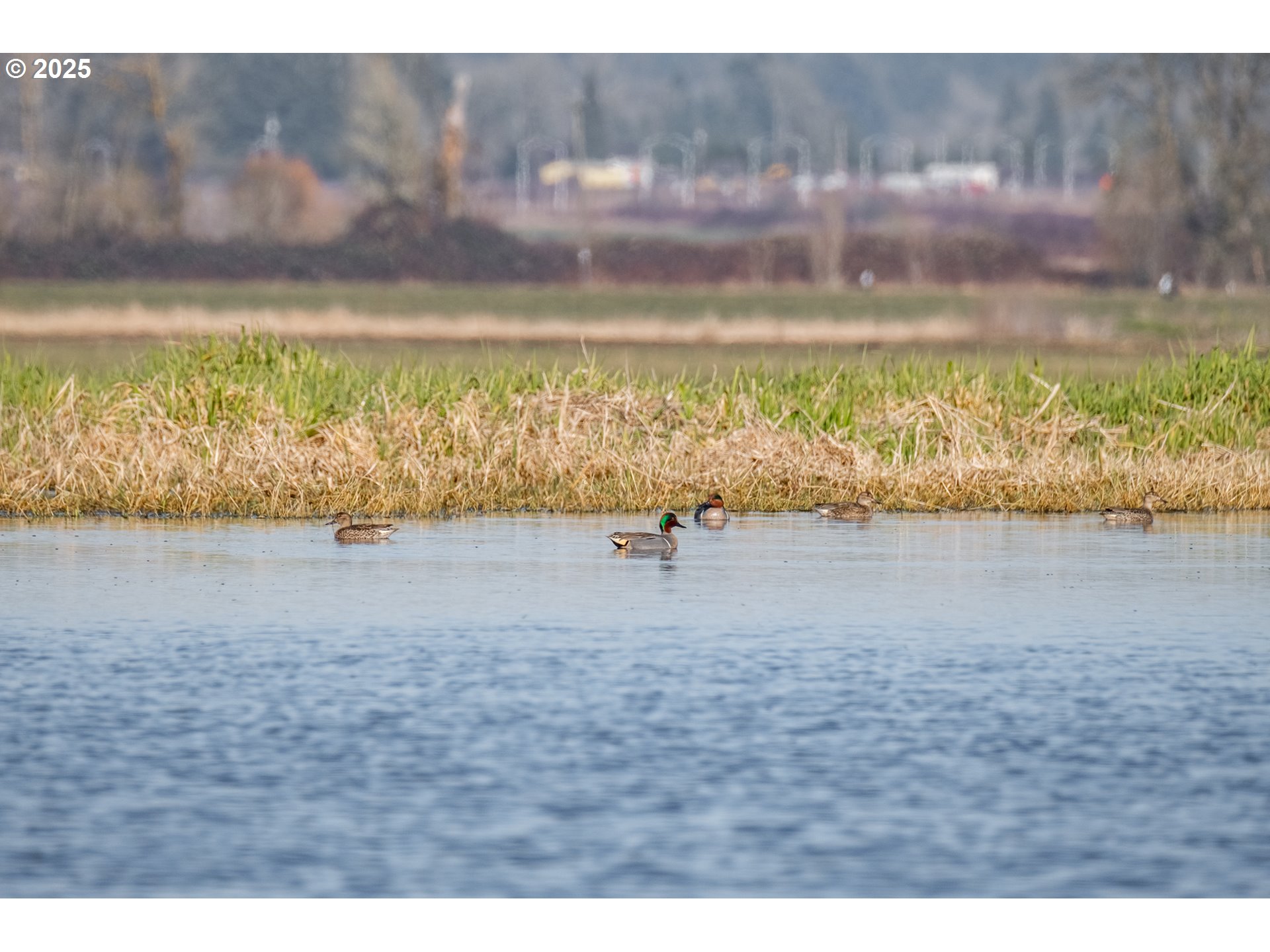 35308 Riverside Lane Scappoose, OR 97056 - Photo 28 of 48 a view of a lake view
