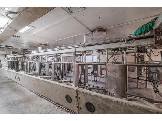 a view of a backyard with wooden fence