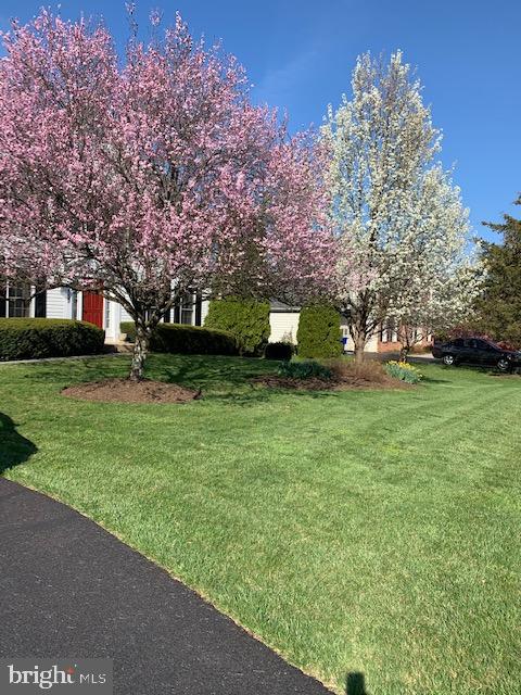 19509 Halmos Road Poolesville, MD 20837 - Photo 2 of 53