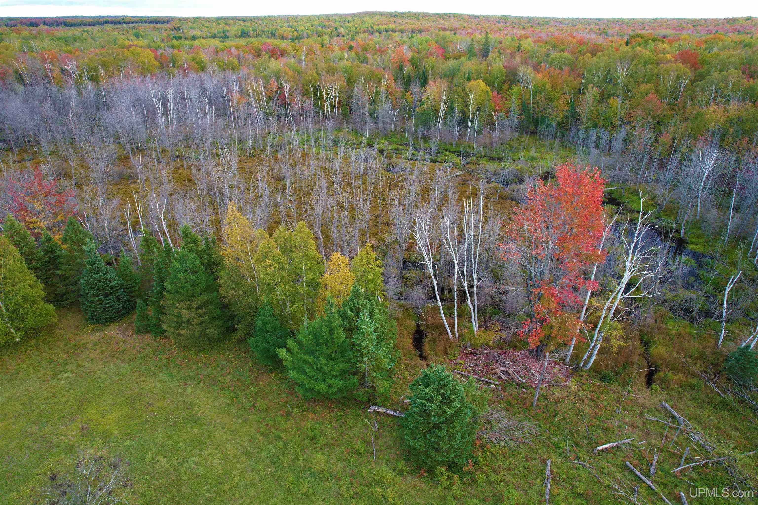 Tbd Bear Lake Road Hancock, MI 49930 - Photo 16 of 17
