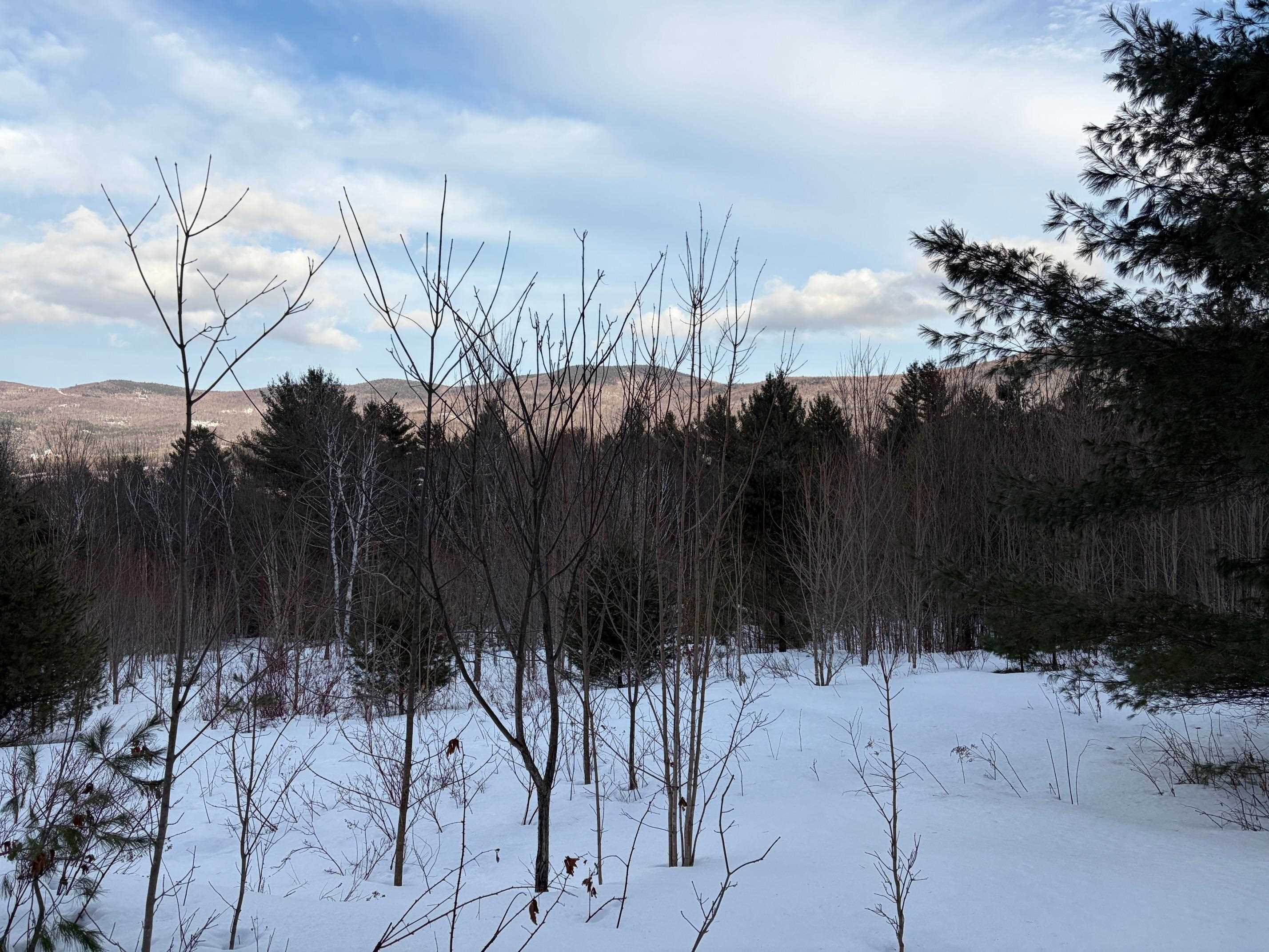 0 Fuller Hill Road, Unit 2 Warren, VT 05674 - Photo 2 of 21 Gallery Image 2