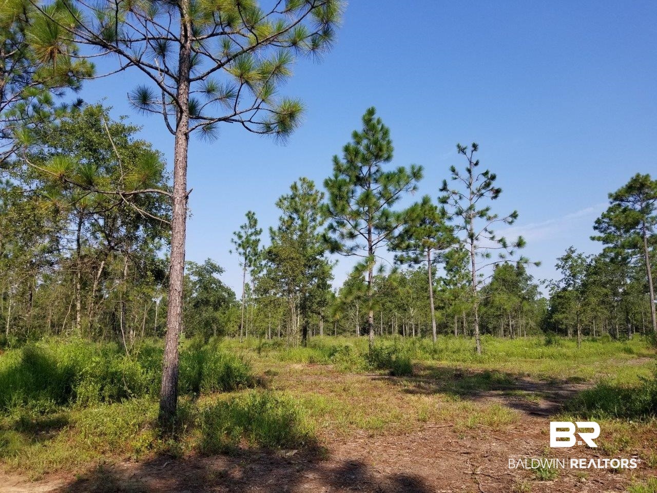 0 Jerkins Loop Atmore, AL 36502 - Photo 5 of 50