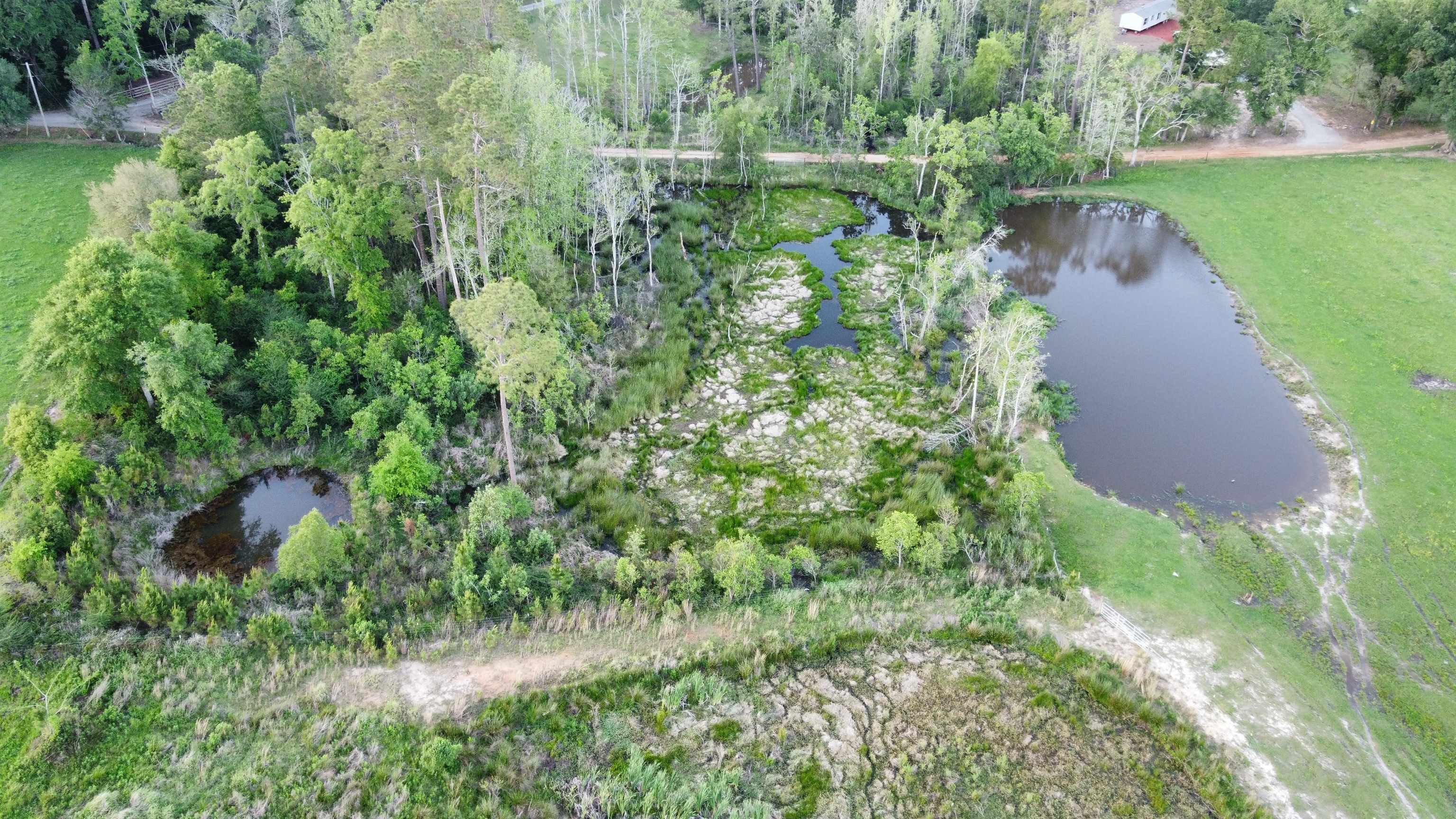 21860 Bengston Road Robertsdale, AL 36567 - Photo 6 of 15