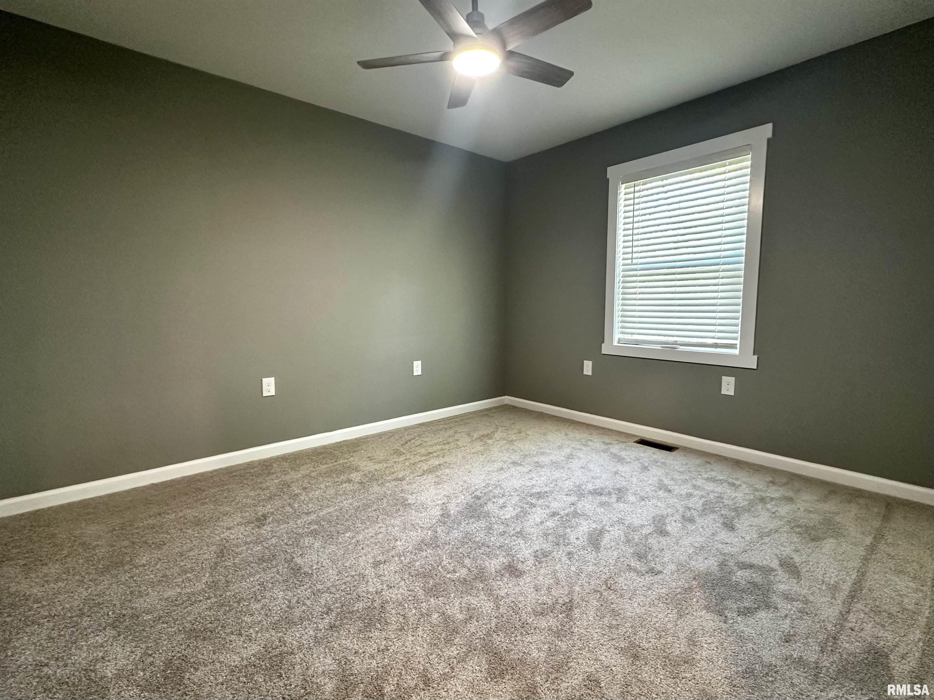 575 5th Street Omaha, IL 62871 - Photo 11 of 27